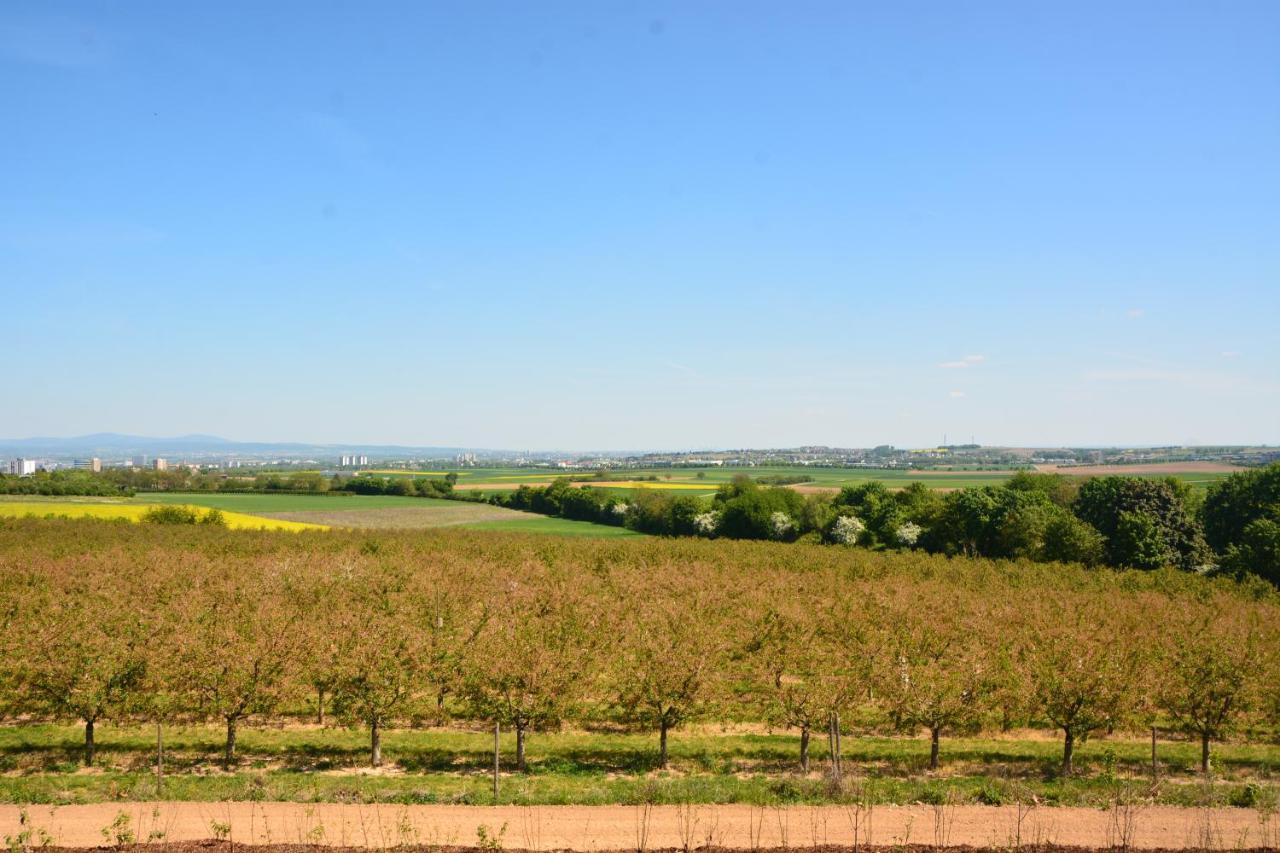 Weingut Bugner Meizelhof Klein-Winternheim Bagian luar foto