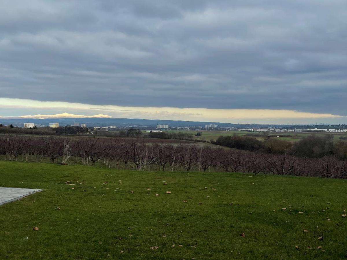 Weingut Bugner Meizelhof Klein-Winternheim Bagian luar foto